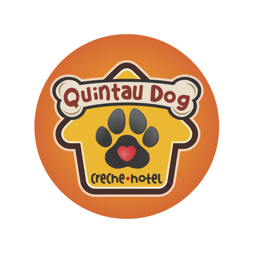 Site quintal dog (4)