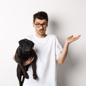 Diferenças Entre Creche e Hotel para Cachorros: Qual é a Melhor Opção?