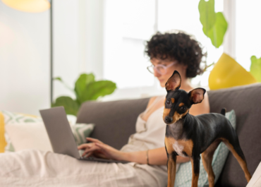 Segurança em Hotéis e Creches para Cachorros: O Que Verificar Antes de Escolher