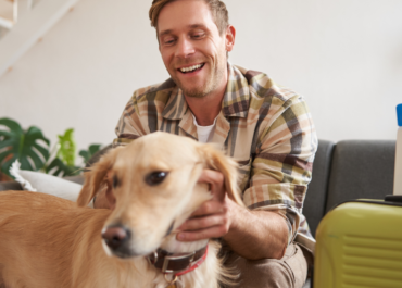 O Que Levar em Consideração ao Deixar Seu Cão em um Hotel Pet