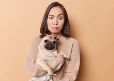 Creche para Cachorros: Como Funciona e Por Que Pode Ser a Melhor Opção para Seu Pet